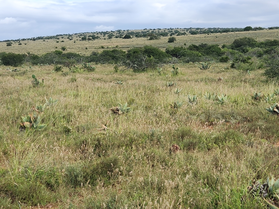 Commercial Property for Sale in Somerset East Rural Eastern Cape